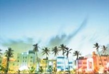 Mango's Tropical Cafe - Lunch